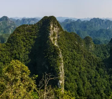 Vườn quốc gia Phong Nha-Kẻ Bàng